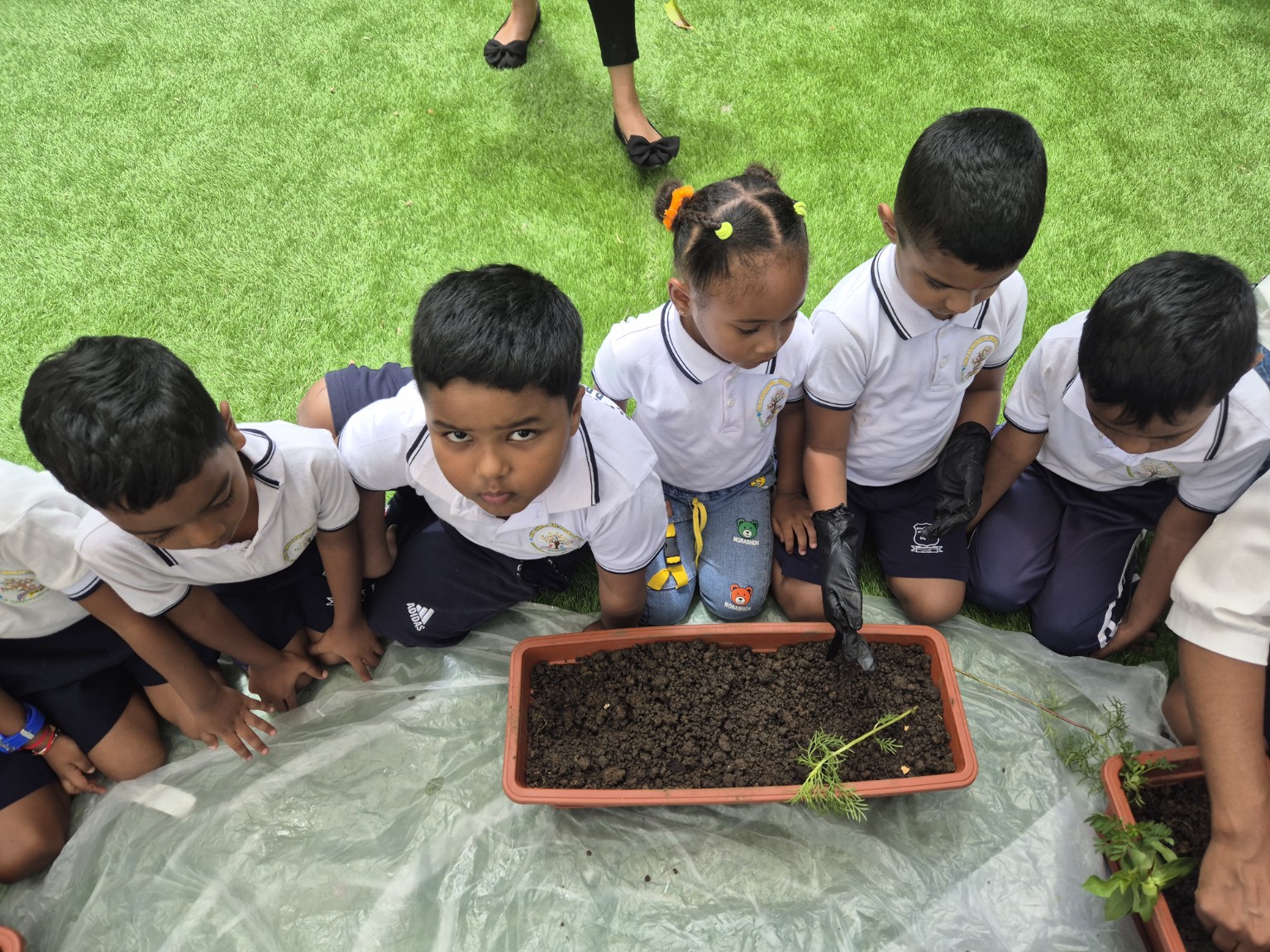 Little Gardeners